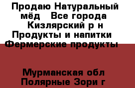 Продаю Натуральный мёд - Все города, Кизлярский р-н Продукты и напитки » Фермерские продукты   . Мурманская обл.,Полярные Зори г.